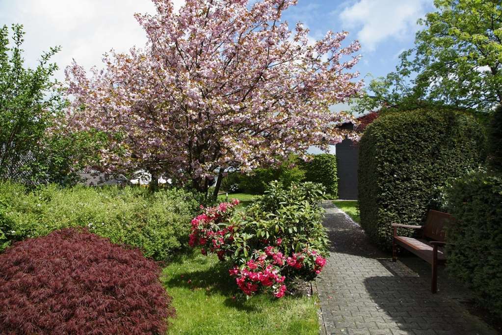 Posthotel Usseln Willingen  Exterior photo